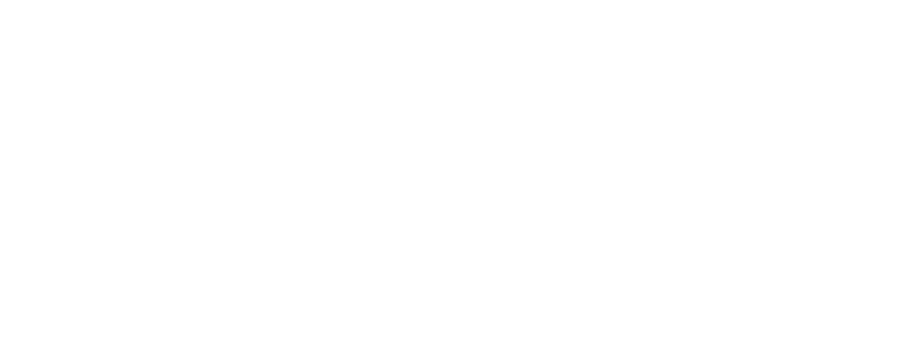 AMINA CORE